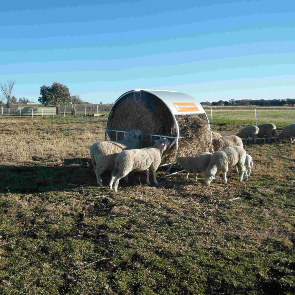 Hay Feeder Roof - Image 4