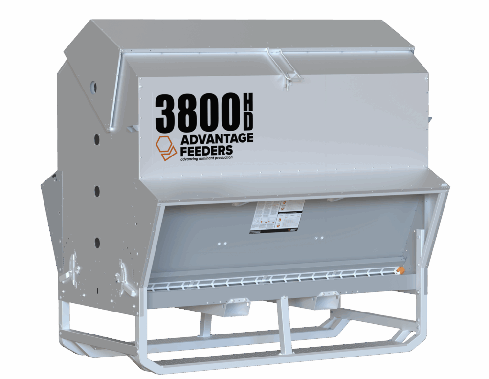 3800HD - Image 2