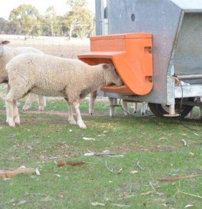 Uncategorised Archives Advantage Feeders