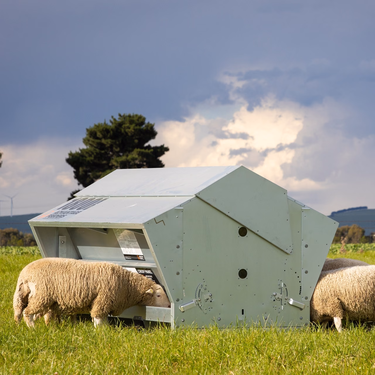 1800HD Grain Feeder - Image 4