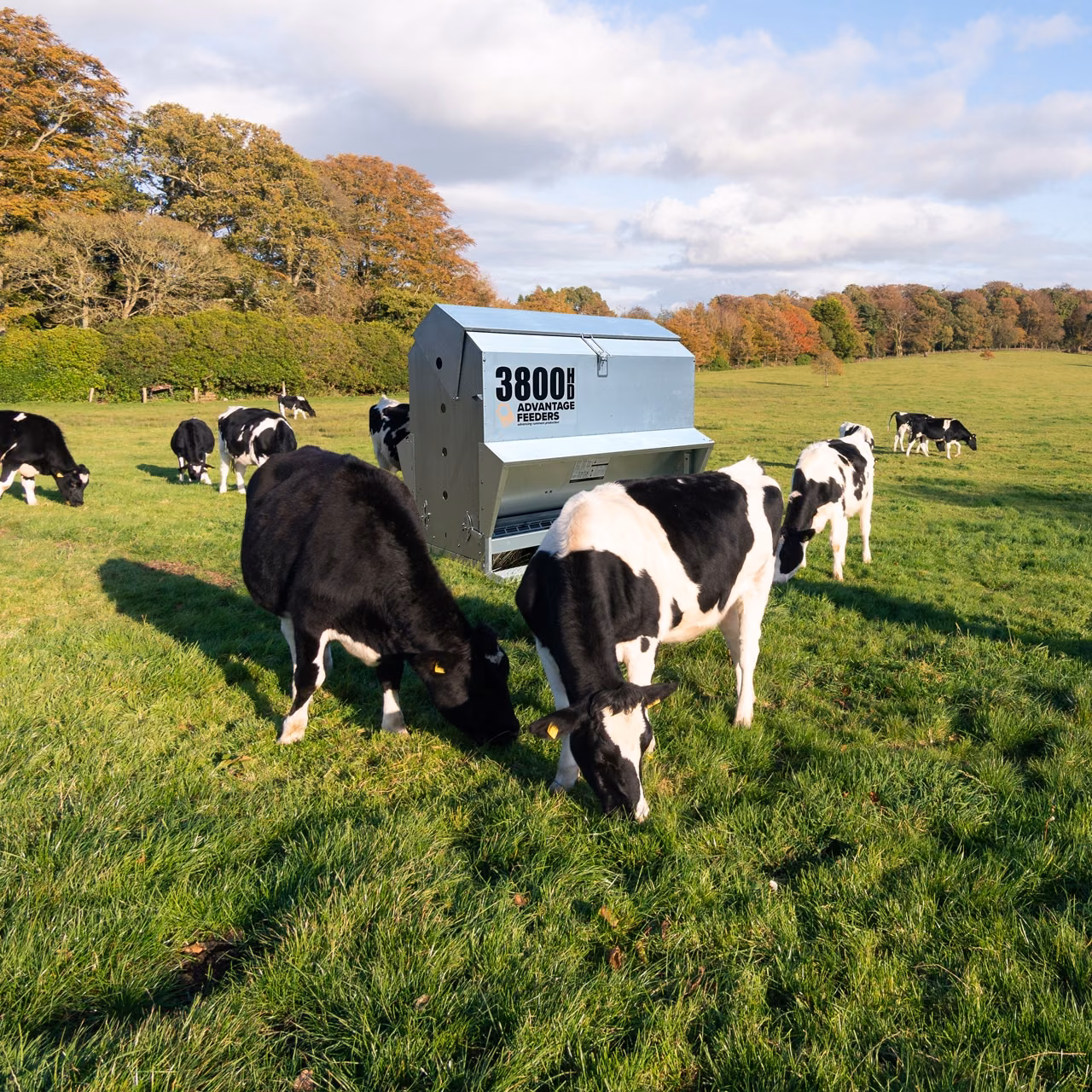 3800HD Grain Feeder - Image 3
