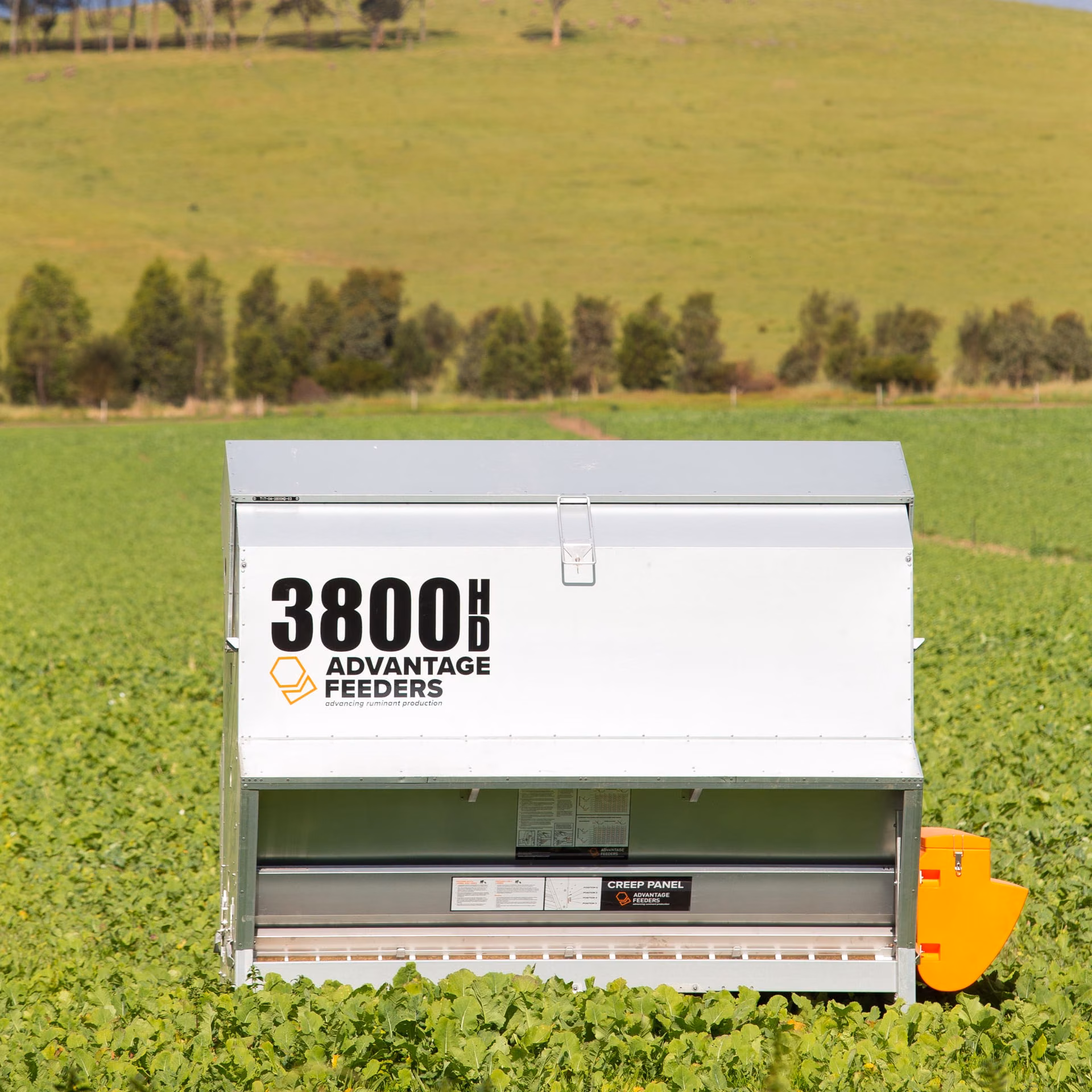 3800HD Grain Feeder - Image 4