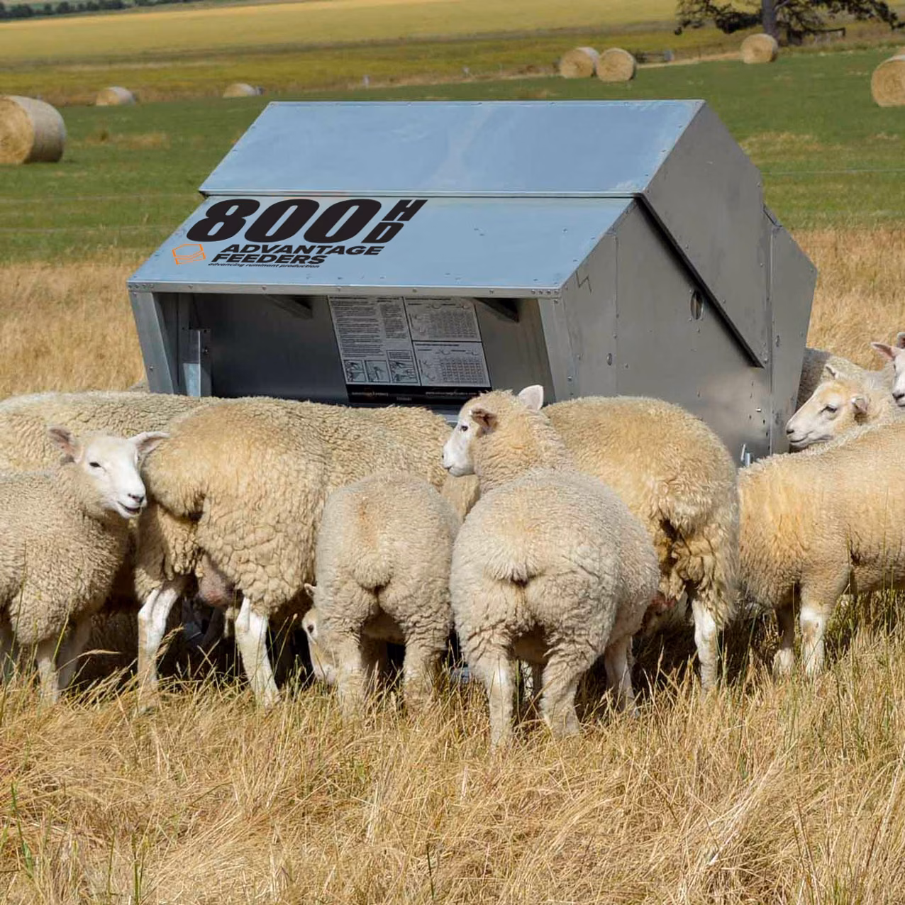 800HD Grain Feeder - Image 2